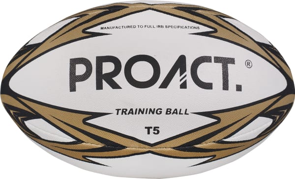 Balón challenger T5